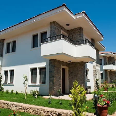 Filiz