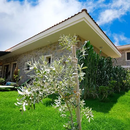 Hotel Filiz Datca
