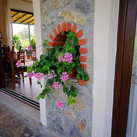 Hotel Filiz Datça